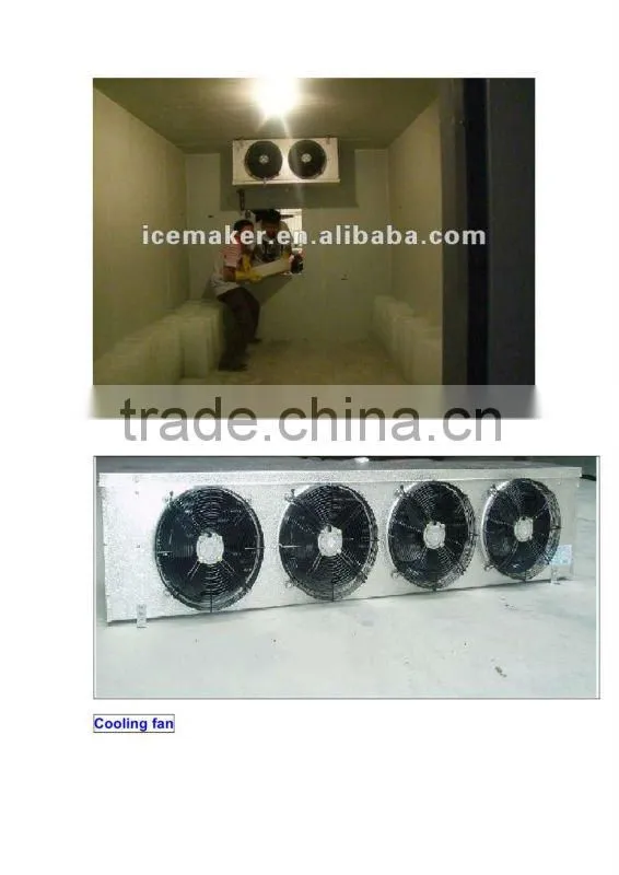 cold room for fish (size and temperature make as order )