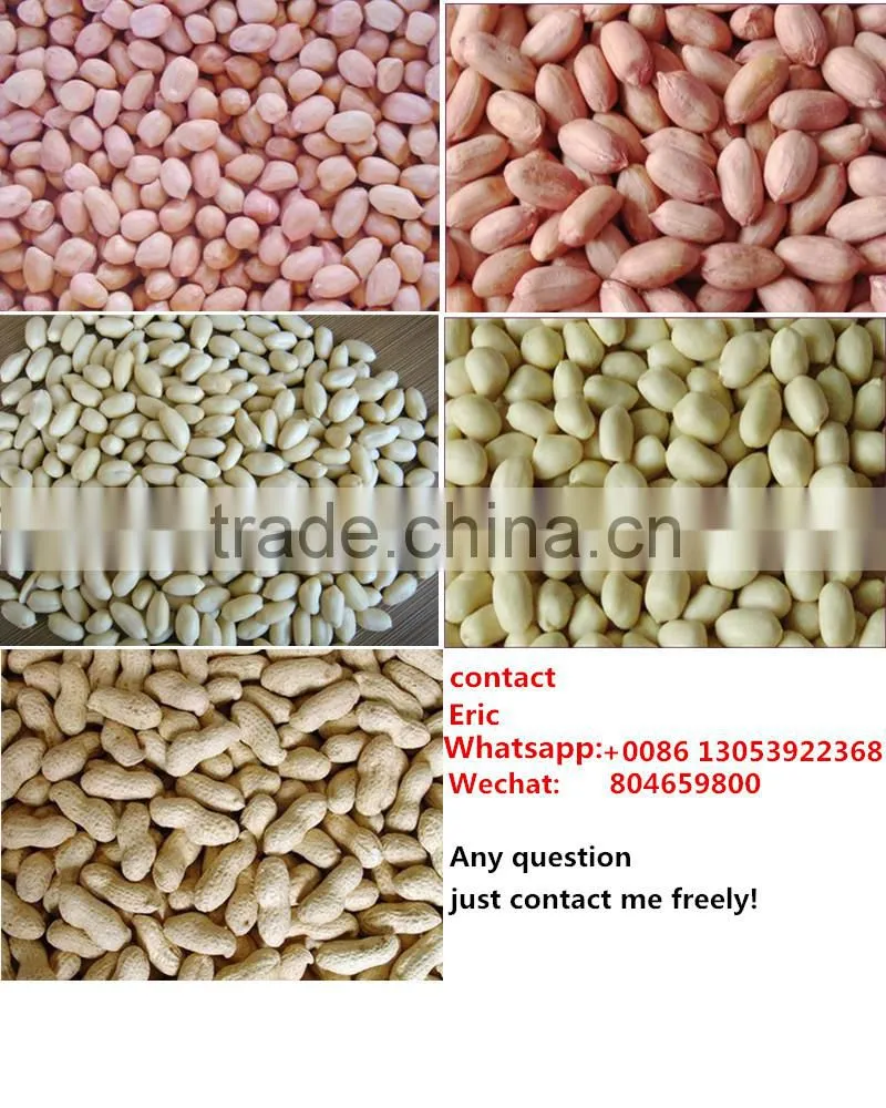 import export peanut