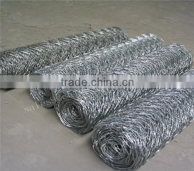 2016 new product China supplier Galvanized Hexagonal Wire Mesh