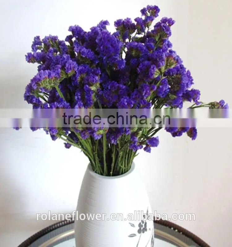 hot selling reasonable price purple myosotis for favors wedding
