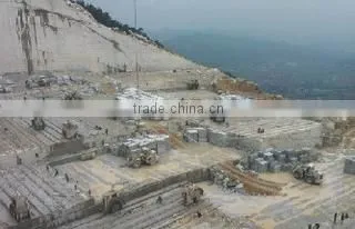 Xiamen Eastern Pegasus Co., Ltd. company overview - view 4