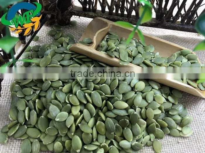 New Crop Chinese Sunflower seed 5009/3638/0409/103/601 for bird big size