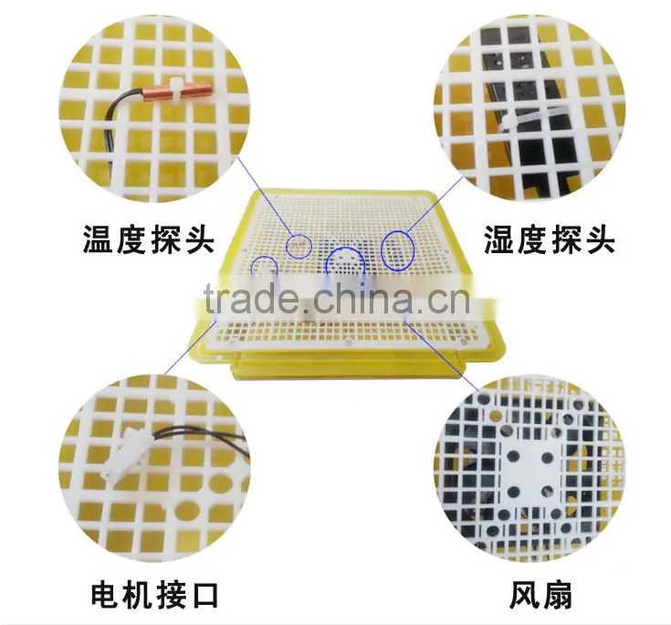 Small little turtle incubator / automatic egg incubator