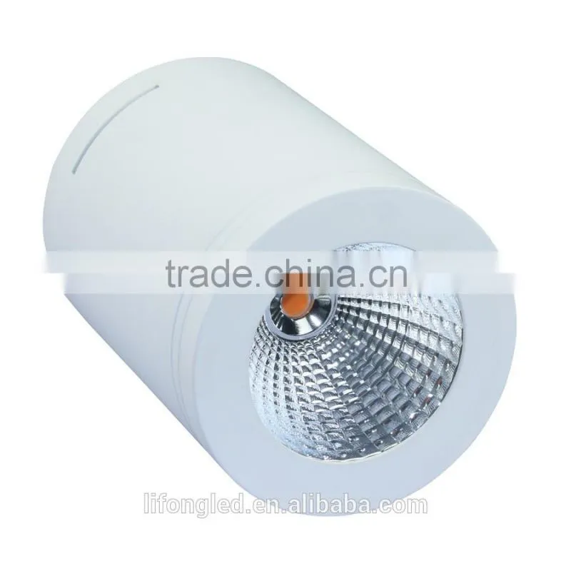 2015 adjustable 12W COB LED Surface Mounted with warm white