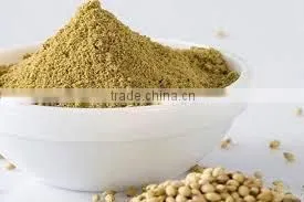 CORIANDER POWDER