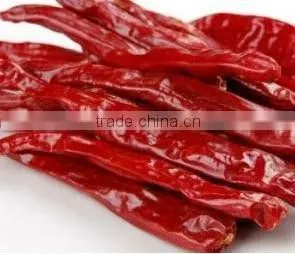 High quanlity Dry Red Hot chaotian chilli exporter from china