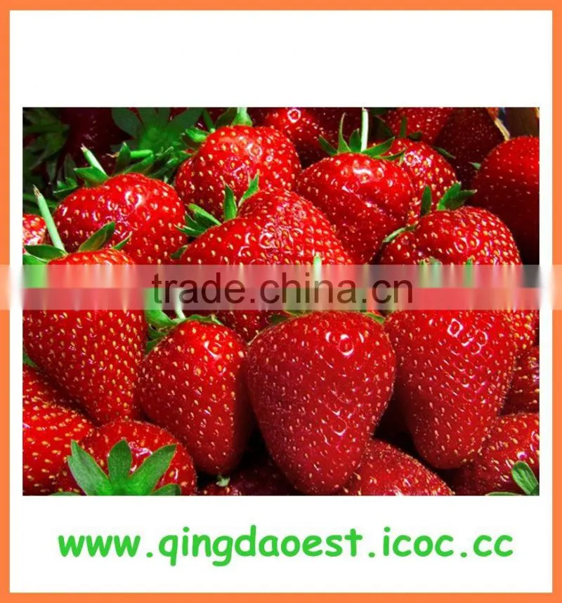 Wholesale for sale best price chinese strawberry
