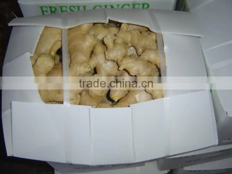 Good quality Chinese fresh ginger