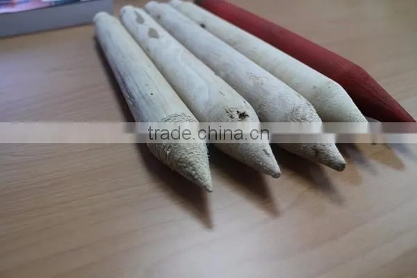 Kego wooden stakes for plant support