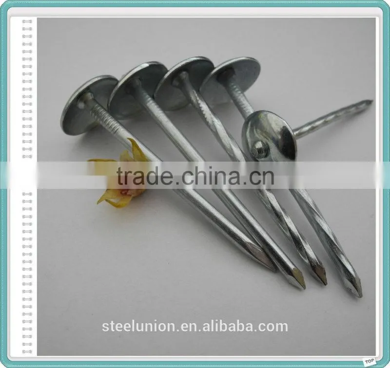 Galvanized Roofing Nail/Roofing Nails with Washer/Umbrella Roofing Nails