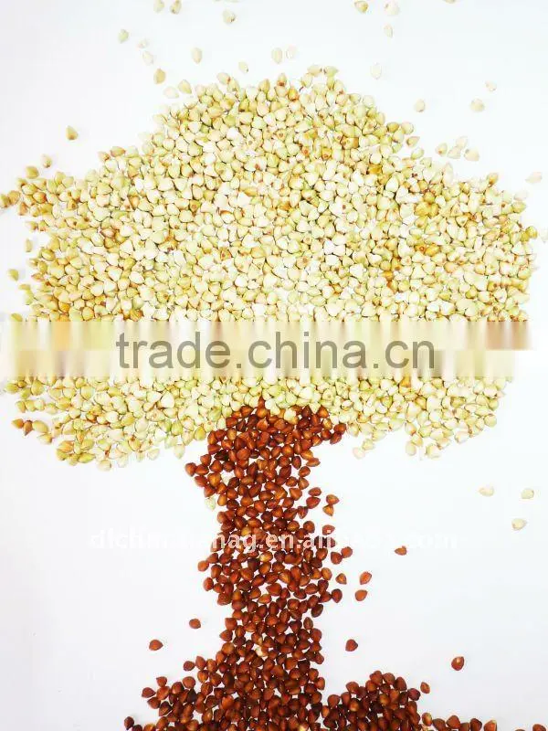 Organic roasted buckwheat