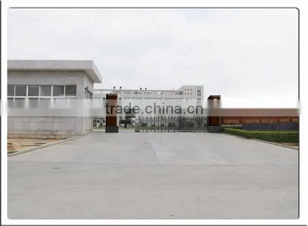 stainless steel nails manufacturer(15 years export experience)