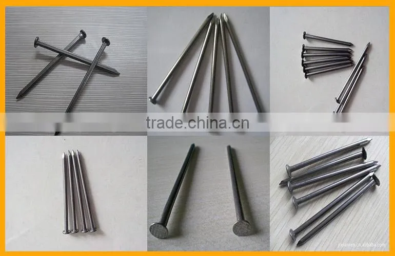 Galvanized Concrete Nails Manufacturers India