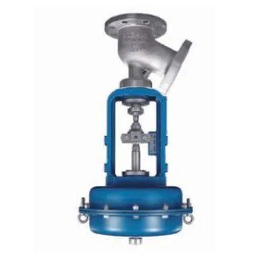 Understanding the Role of Discharge Valves.png