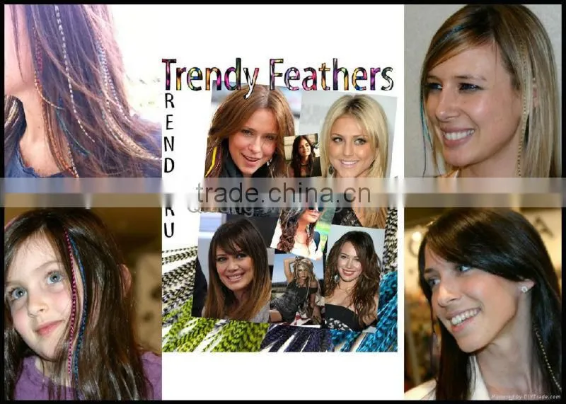 Thin Long party show colorful top sale real rooster feather hair extensions