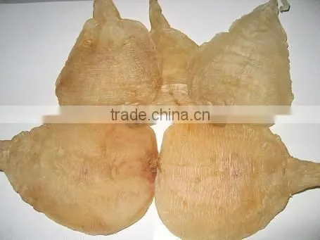 Fish maw/dried seafood