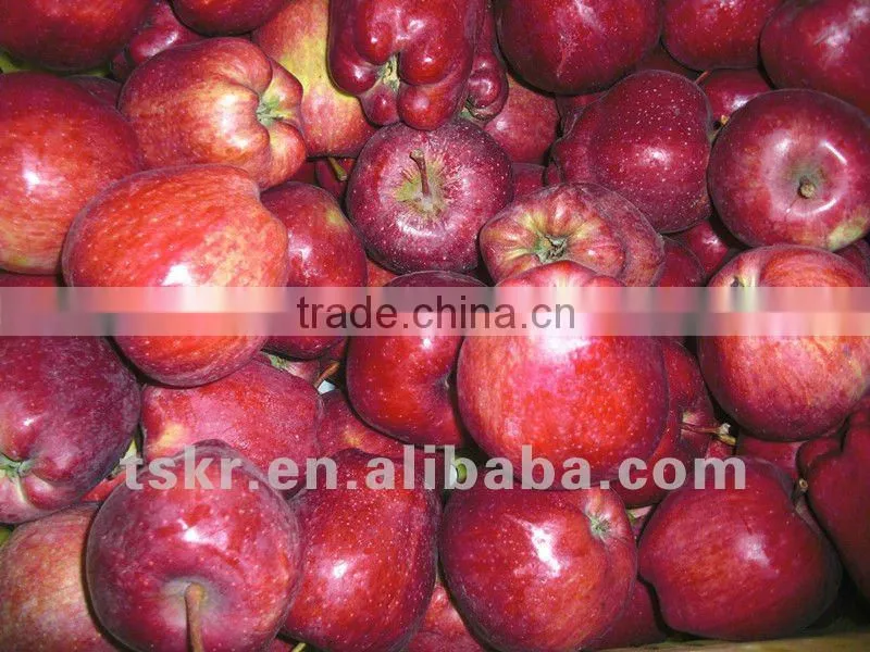 fresh apple of fruit vegetable