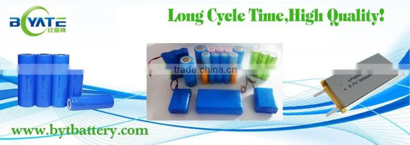 Newest 48V Lithium Battery Pack for Electric Motorcycle