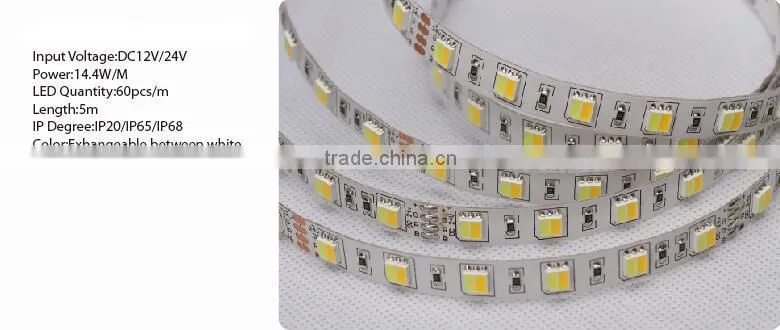 28.8W/M DC12V IP20/IP65 120PCS/M SMD5050 Magic color LED strip lighting
