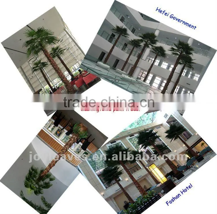 Indoor preserved washingtonia palm tree fake tropical big palm tree
