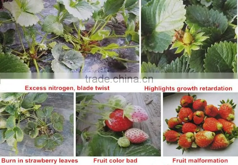 Huminrich 100% Water Soluble Potassium Humate Fertilizantes Para El Melon