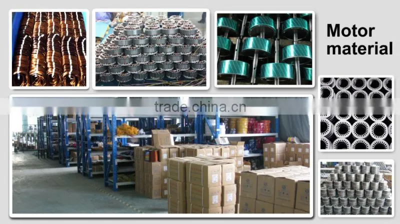 220v single phase ac motor low rpm