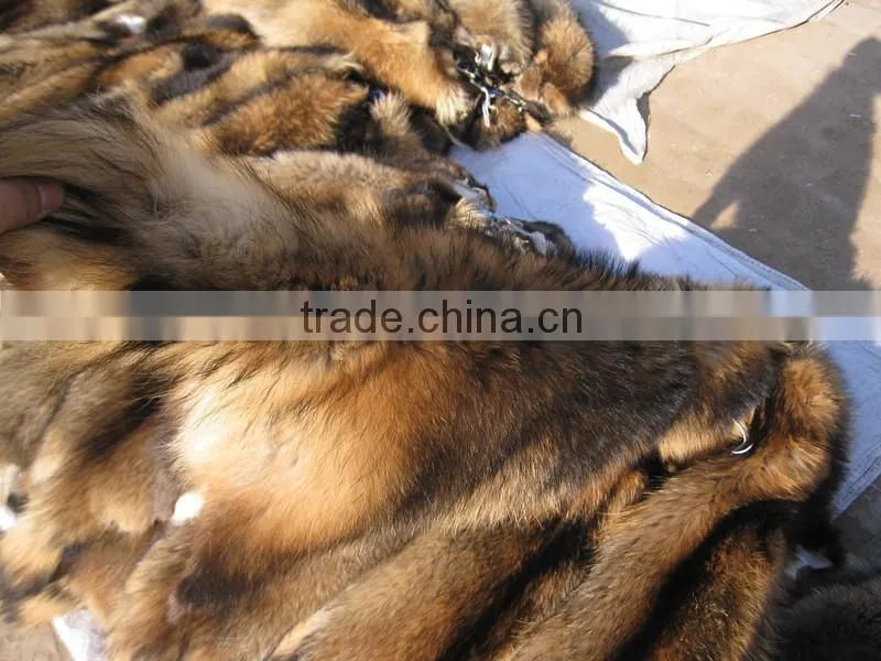 2016/2017 Real Tanning Raccoon Fur Skin