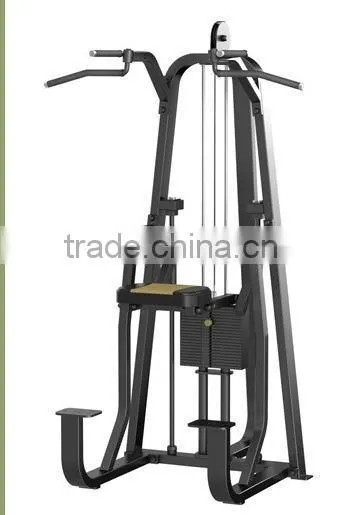 Top Quality Dip/Chin Assist JG-1623/Commercial Fitness equipment/Gym equipment