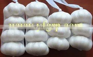 new crop fresh purple garlic high quality