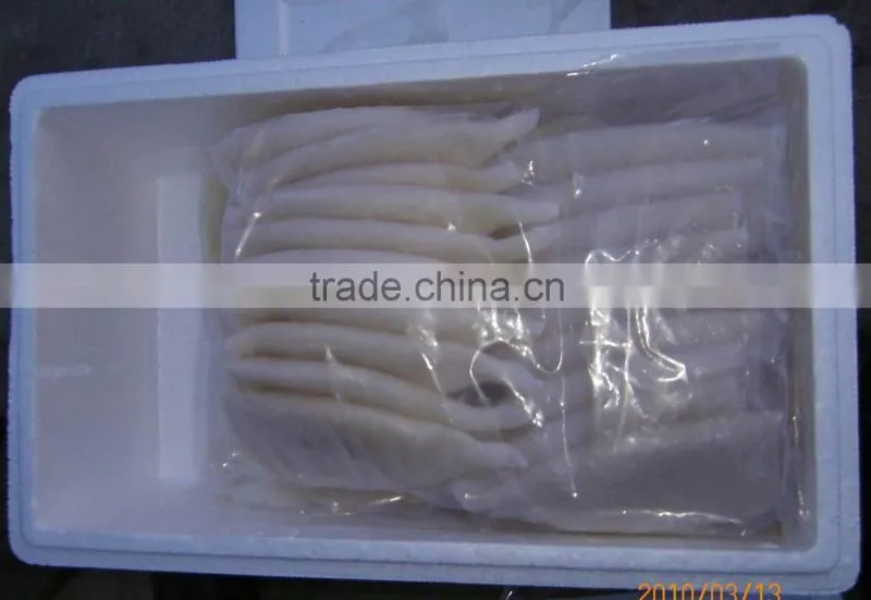 Frozen Squid
