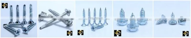 China supplier pan head self tapping screw to color steel board