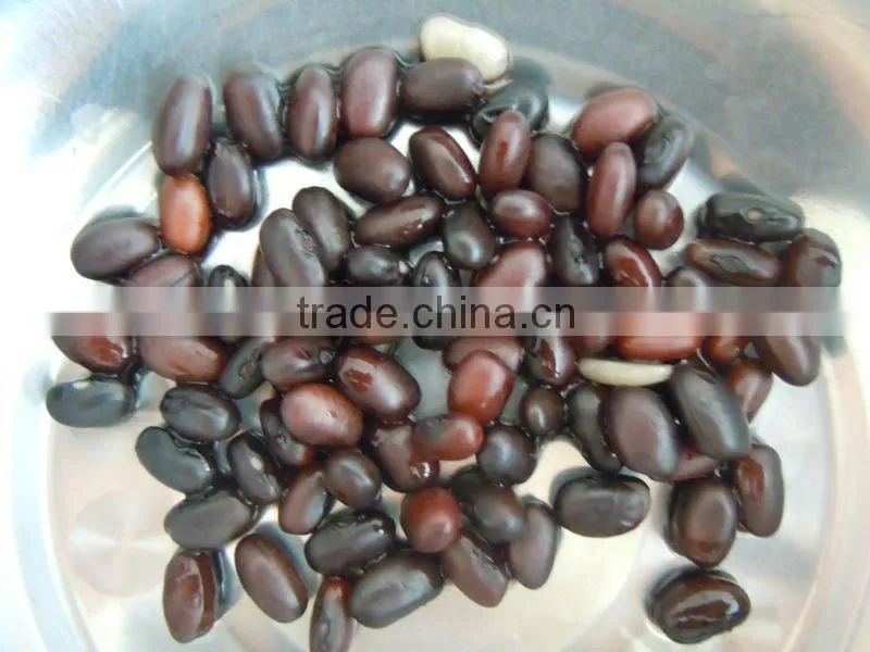 Small Black Kidney Bean