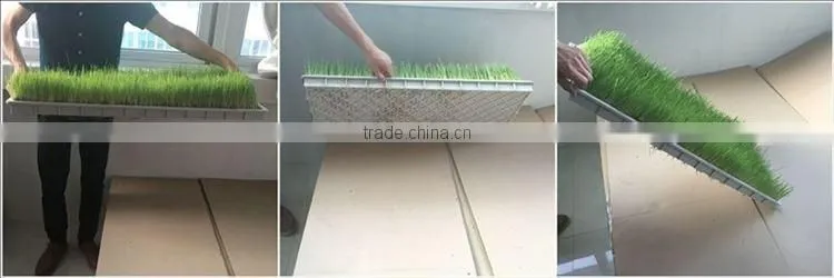 plastic seed tray seed germination tray seed planter tray
