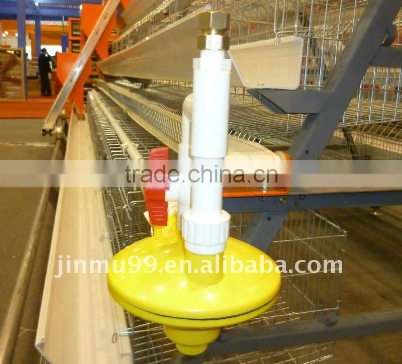 layer chicken poultry house
