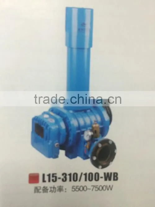 Low Noise Roots Blower
