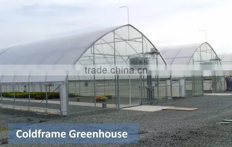 RoughBrothers Galvanized Steel Frame Agricultural Tunnel Greenhouse