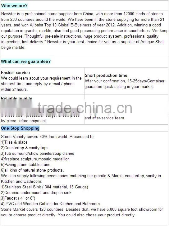 High Quality Grainte Tile White Granite Countertop