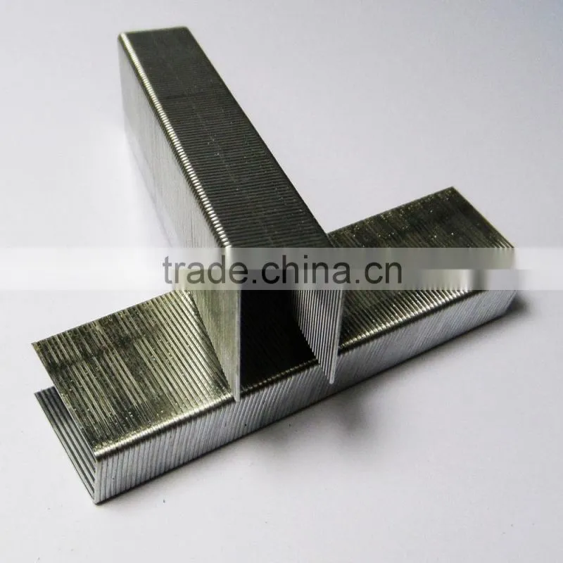 Quantity office galvanized heavy duty staples 23/20