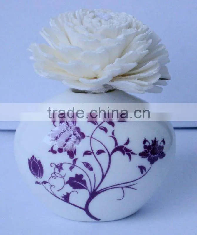 Natural Sola Flower