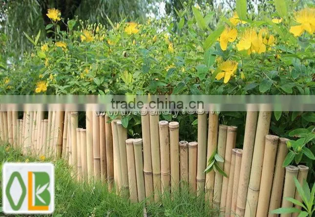 Bamboo poles type bamboo ladders /trellis/ fences