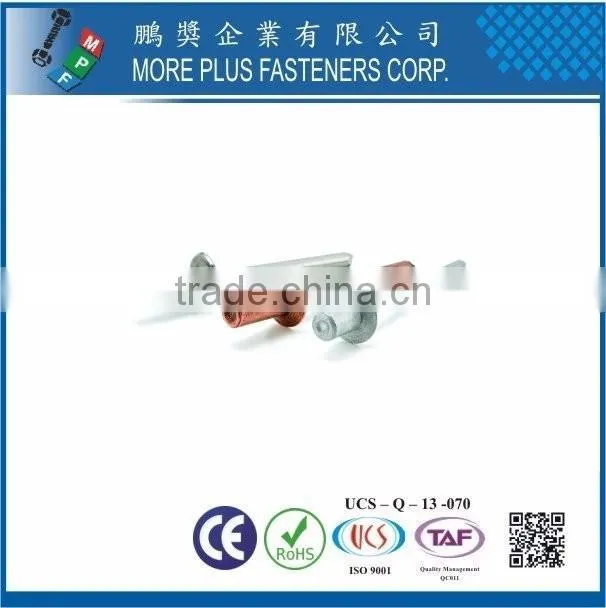 Made in Taiwan Stainless Steel Copper Brass Color Blind Rivet Open Type Aluminum Steel DIN And GB