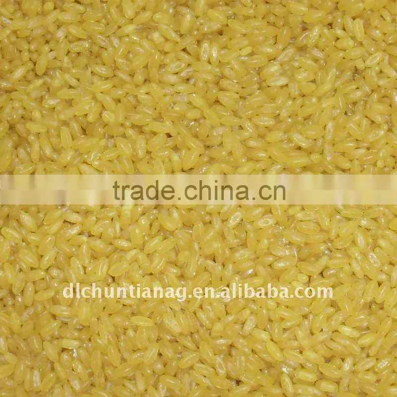 golden rice