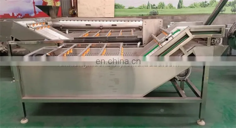 Date palm washing machine fruits and vegetables washing machine zone bubble washing machine