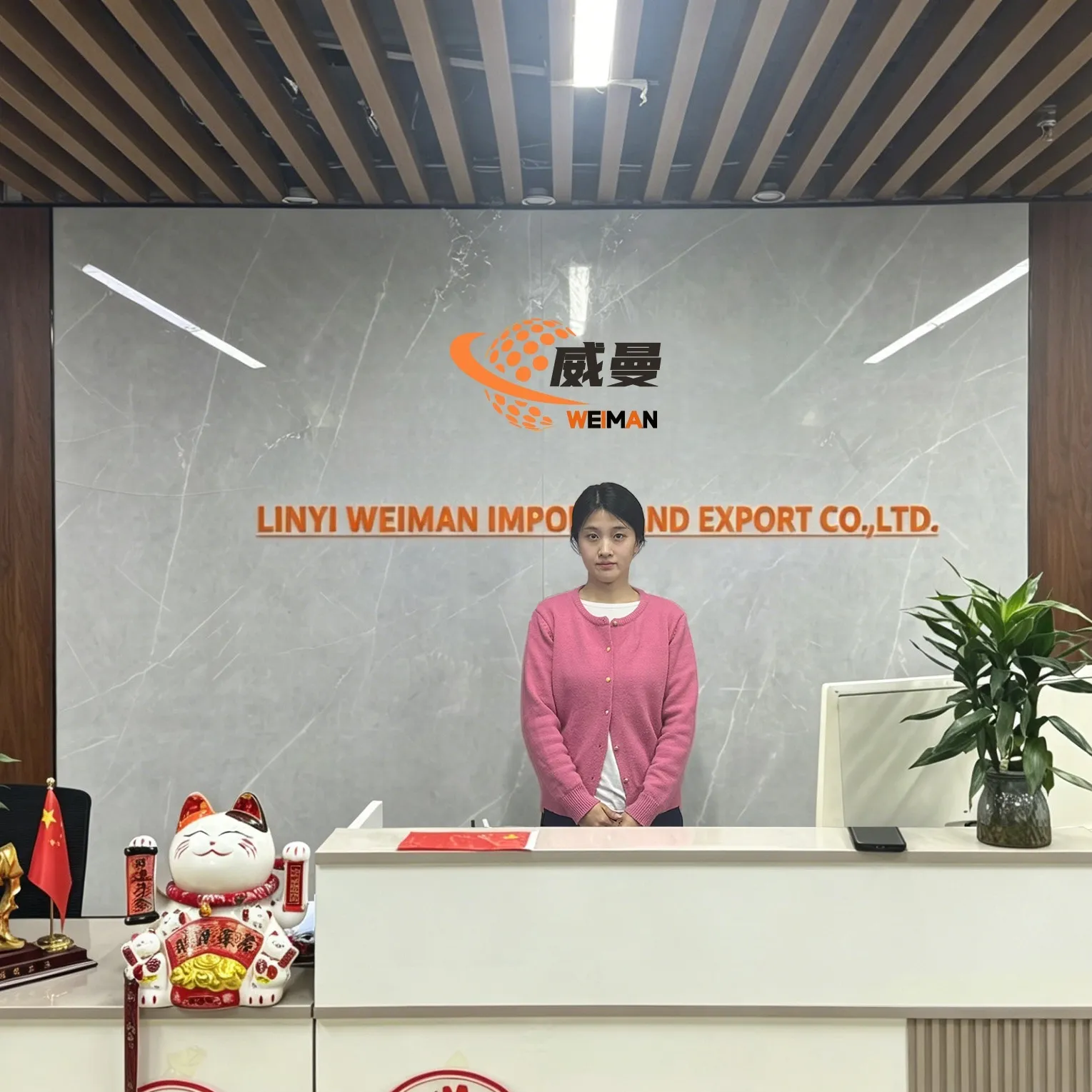 Linyi Weiman Import And Export Co., LTD company overview - view 1
