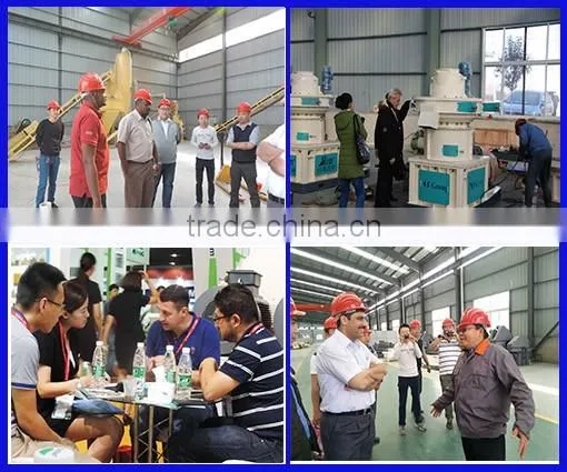 Hot selling biomass wood pellet machine supplier