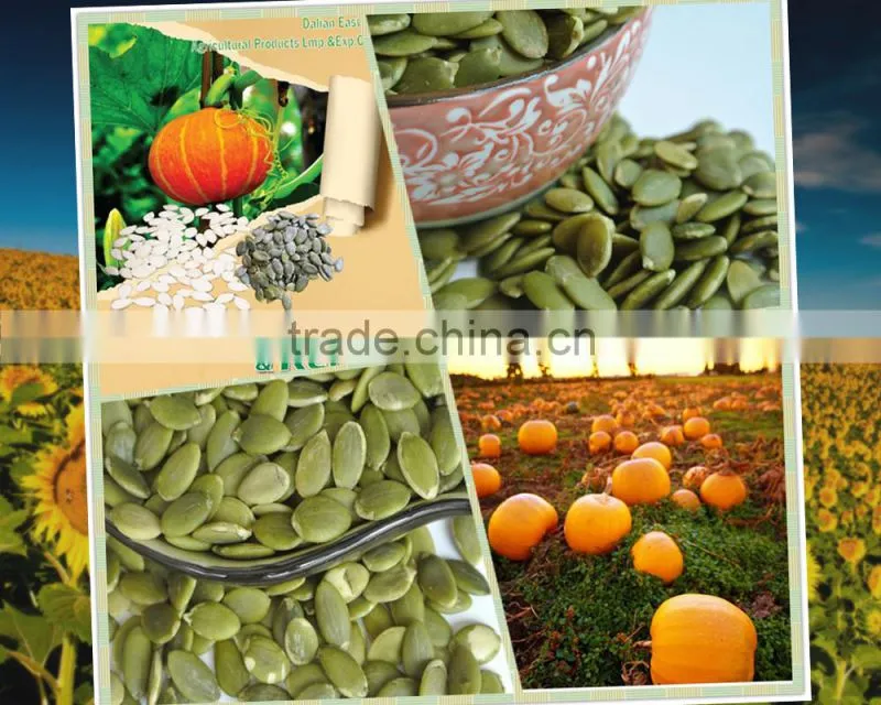 common cultivation pumpkin kernels/dried pumpkin seeds kernels