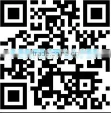 Automatic Bottle Cap Printing Machine PM-100