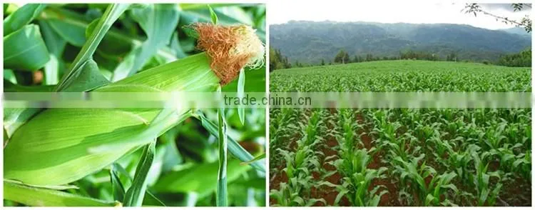 Huminrich Granular State And Other Fertilizers Classification Lignite Humic Acid