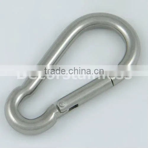 Carabiner spring clip