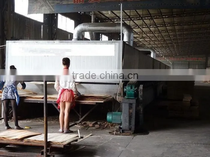 Dingli wood drying oven machine of vacuum dryer oven for sale